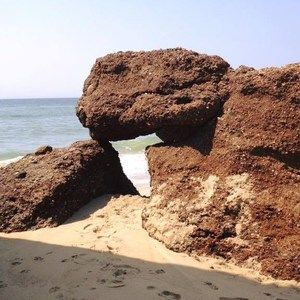 Meet your Posher, Jane